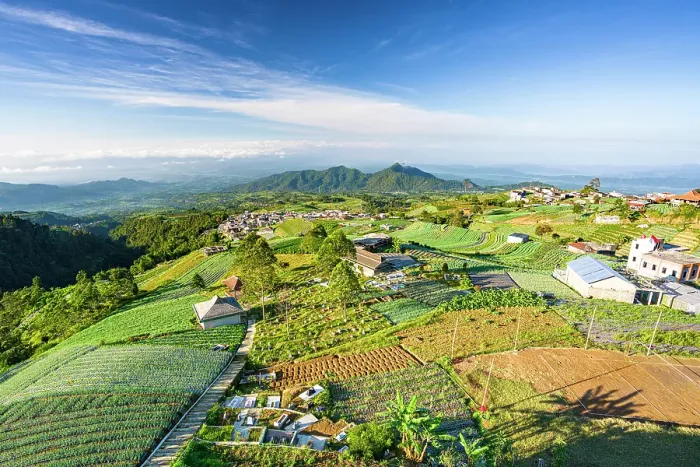 Framed Print : Aerial view of cultivated fields in the rural village of Nepal Van Java, Magelang, Central Java, Indonesia Framed Print : Aerial view of cultivated fields in the rural village of Nepal Van Java, Magelang, Central Java, Indonesia