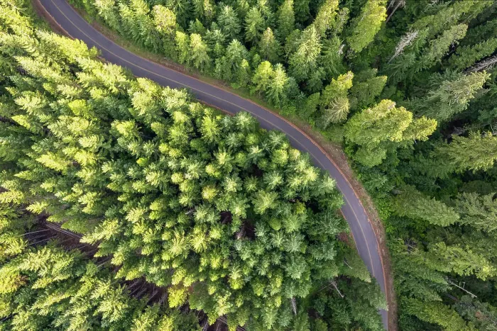 Framed Print : Aerial view of a curving road in the forest, Skamania County, Washington, USA Framed Print : Aerial view of a curving road in the forest, Skamania County, Washington, USA