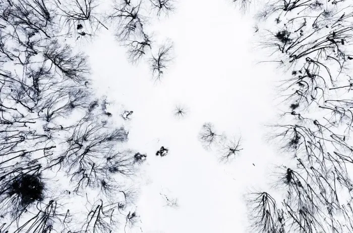 Framed Print : Aerial view of a dead forest during winter in the Apuan Alps, Tuscany, Italy Framed Print : Aerial view of a dead forest during winter in the Apuan Alps, Tuscany, Italy