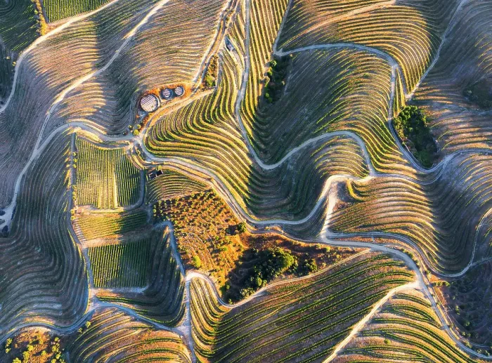 Framed Print : Aerial view of Douro Valley with its vineyards, Alijo Vila Real, Douro, Norte, Portugal Framed Print : Aerial view of Douro Valley with its vineyards, Alijo Vila Real, Douro, Norte, Portugal