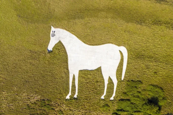 Framed Print : Aerial view of the famous White Horse below Bratton Camp, an Iron Age hillfort near Framed Print : Aerial view of the famous White Horse below Bratton Camp, an Iron Age hillfort near