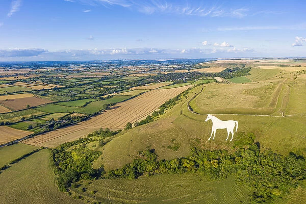 Aerial view of the famous White Horse below Bratton Camp, an Iron Age hillfort near