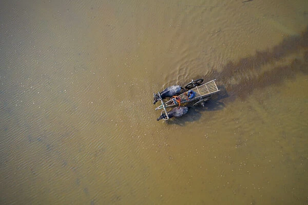 Aerial view of two farmer crossing a flooded lagoon with cattle in Tahirpur