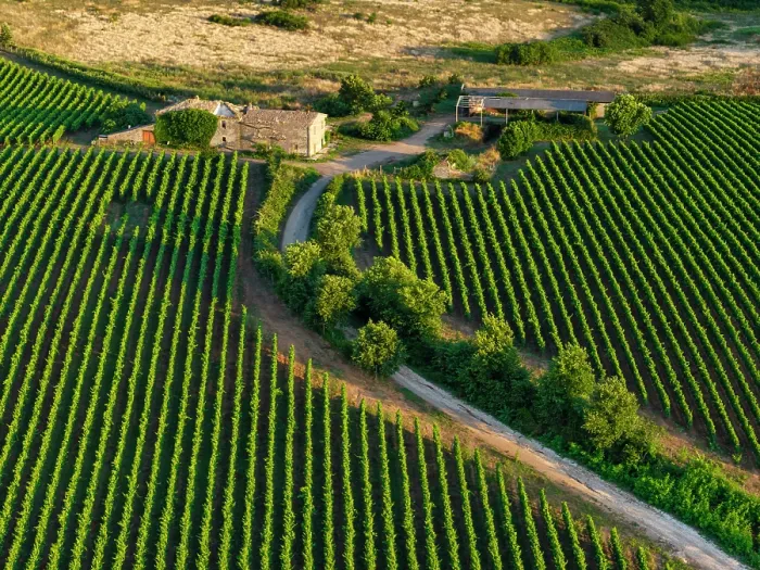 Framed Print : Aerial View over Farmhouse & Vineyards, near Pitigliano, Tuscany, Italy, Europe Framed Print : Aerial View over Farmhouse & Vineyards, near Pitigliano, Tuscany, Italy, Europe