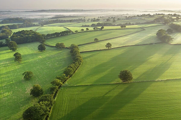 Aerial view of fields and hedgerows in rural Devon, England. Autumn (September) 2020