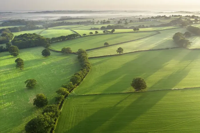 Framed Print : Aerial view of fields and hedgerows in rural Devon, England. Autumn (September) 2020 Framed Print : Aerial view of fields and hedgerows in rural Devon, England. Autumn (September) 2020