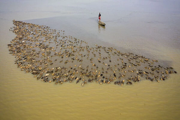 Aerial view of a fisherman standing on a canoe following a flock of ducks along Baulai
