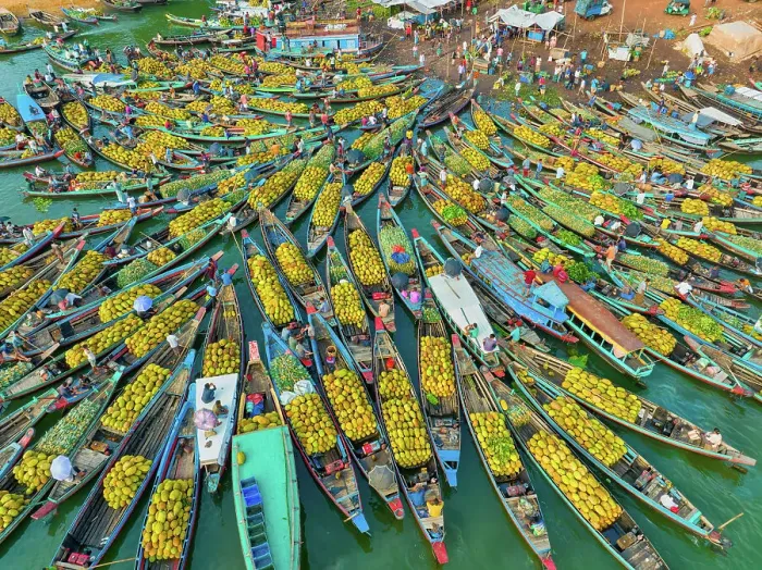 Framed Print : Aerial view of floating market of seasonal fruits on the boats in Kaptai Lake, Rangamati, Bangladesh Framed Print : Aerial view of floating market of seasonal fruits on the boats in Kaptai Lake, Rangamati, Bangladesh
