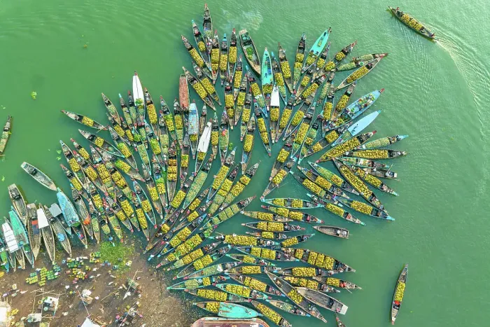 Framed Print : Aerial view of floating market of seasonal fruits on the boats in Kaptai Lake, Rangamati, Bangladesh Framed Print : Aerial view of floating market of seasonal fruits on the boats in Kaptai Lake, Rangamati, Bangladesh