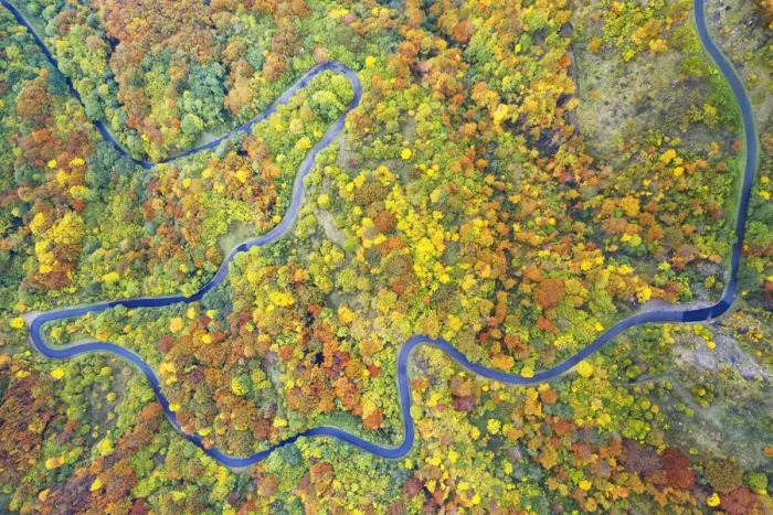 Framed Print : aerial view of the forest and road with autumn colors, tuscan-emilian apennine national Framed Print : aerial view of the forest and road with autumn colors, tuscan-emilian apennine national