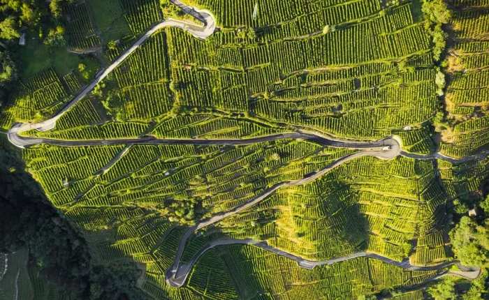 Framed Print : Aerial view of Grumello wine road. Valtellina, Lombardy, Italy