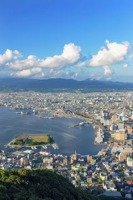 Framed Print : Aerial view of Hakodate, Hokkaido, Japan