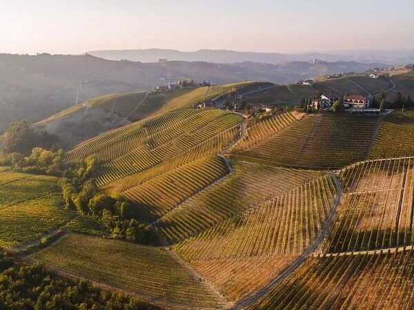 Aerial view over the hills of Le Langhe wine region in autumn, Piedmont, Italy