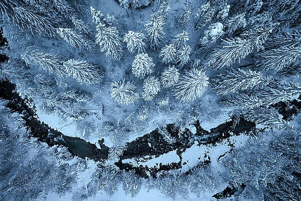 Aerial view of an icy river flowing along a winter snowy forest at dusk, Graubunden canton, Switzerland