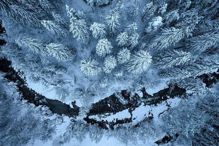 Framed Print : Aerial view of an icy river flowing along a winter snowy forest at dusk, Graubunden canton, Switzerland