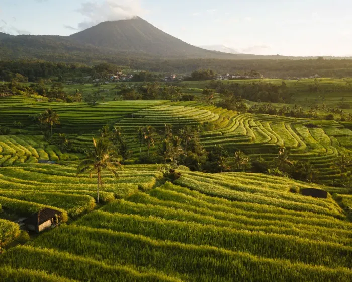 Framed Print : Aerial View of Jatiluwih Rice Terraces, Tabanan, Bali, Indonesia Framed Print : Aerial View of Jatiluwih Rice Terraces, Tabanan, Bali, Indonesia