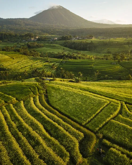 Framed Print : Aerial View of Jatiluwih Rice Terraces, Tabanan, Bali, Indonesia Framed Print : Aerial View of Jatiluwih Rice Terraces, Tabanan, Bali, Indonesia