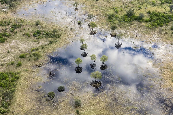 Aerial view of Khwai River, Okavango Delta, Botswana, Africa