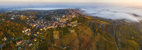 Aerial view of La Morra and vineyards during autumn at sunrise, Cuneo, Langhe e Roero