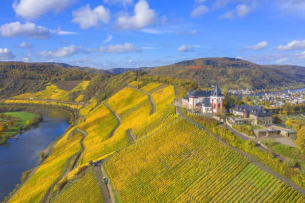 Aerial view at the Marienburg near Zell, Mosel valley, Rhineland-Palatinate, Germany
