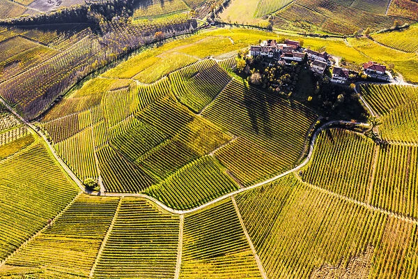 Aerial view of Montestefano village in autumn. Barbaresco region, Piedmont, Italy, Europe