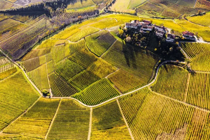 Framed Print : Aerial view of Montestefano village in autumn. Barbaresco region, Piedmont, Italy, Europe