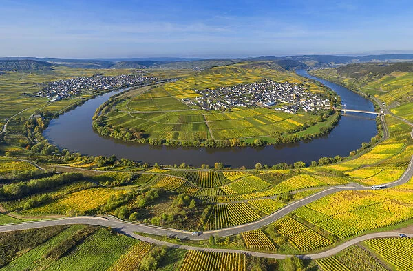 Aerial view on Mosel horseshoe bend at Trittenheim, Mosel valley, Rhineland-Palatinate