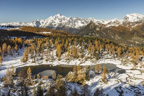 Aerial view of Mufule Lake and Mount Disgrazia surrounded by autumnal larches and snow
