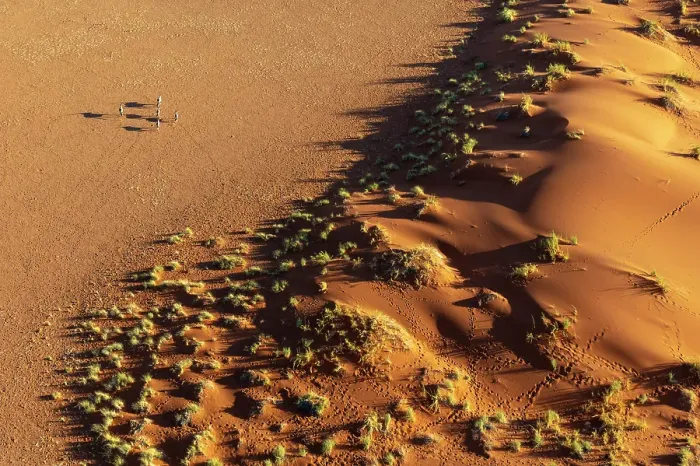 Framed Print : Aerial view of orange sand dunes and oryx from helicopter, Sossusvlei, Namib-Naukluft National Park, Namib Desert, Namibia Framed Print : Aerial view of orange sand dunes and oryx from helicopter, Sossusvlei, Namib-Naukluft National Park, Namib Desert, Namibia