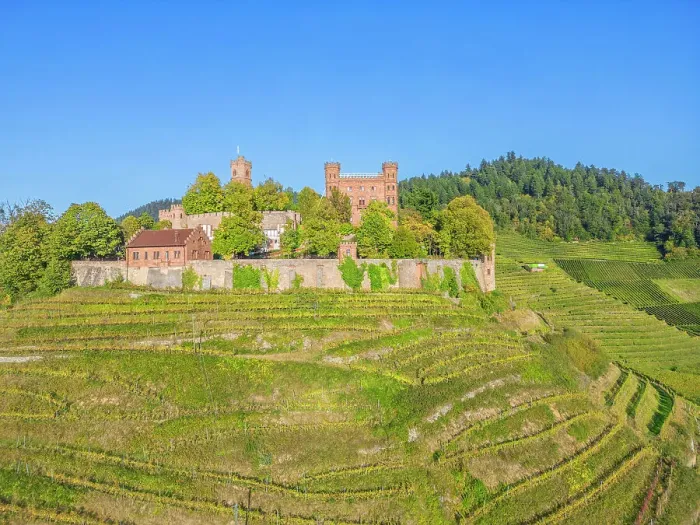 Framed Print : Aerial view at Ortenberg castle near Offenburg, Black Forest, Baden-Wurttemberg, Germany Framed Print : Aerial view at Ortenberg castle near Offenburg, Black Forest, Baden-Wurttemberg, Germany