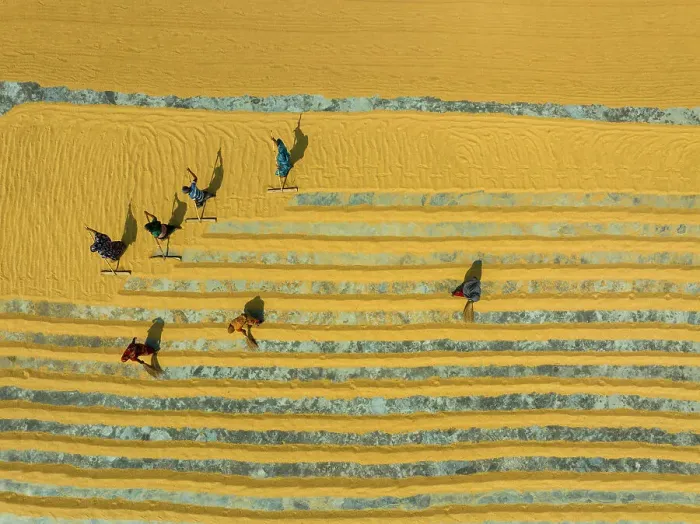 Framed Print : Aerial view of people working in a rice mill field, Dhamrai, Dhaka, Bangladesh Framed Print : Aerial view of people working in a rice mill field, Dhamrai, Dhaka, Bangladesh