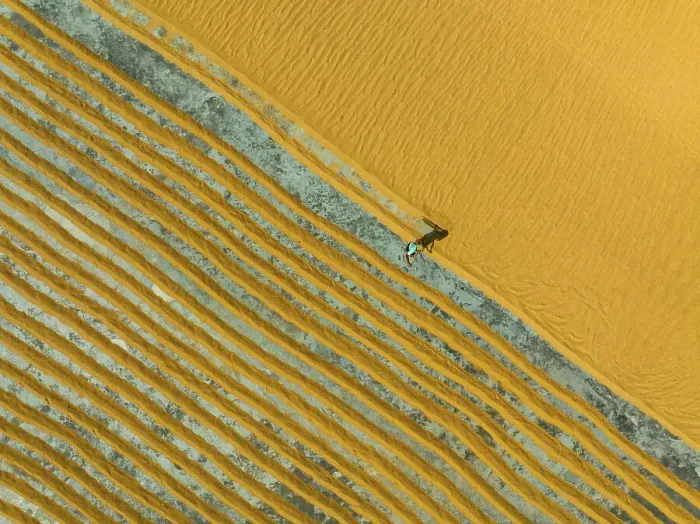 Framed Print : Aerial view of people working in a rice mill field, Dhamrai, Dhaka, Bangladesh Framed Print : Aerial view of people working in a rice mill field, Dhamrai, Dhaka, Bangladesh