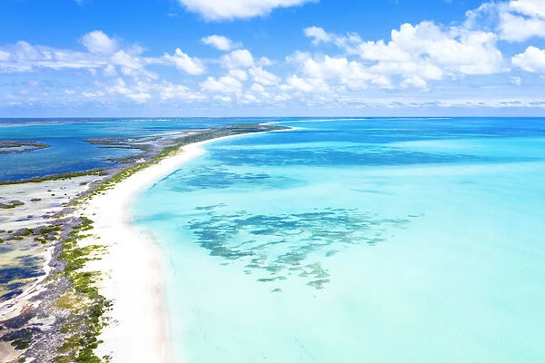 Aerial view of Pink Sand Beach washed by the turquoise sea, Barbuda, Antigua and Barbuda