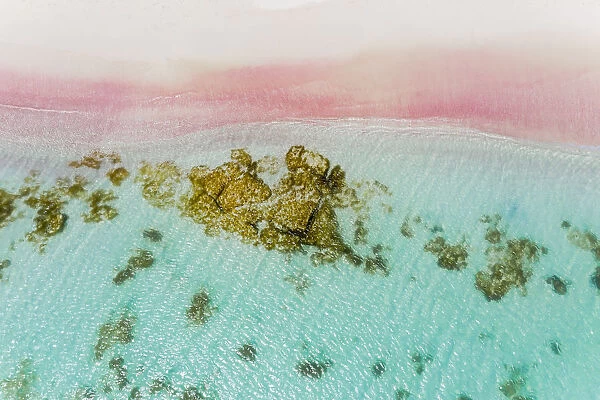 Aerial view of Pink Sand Beach washed by the turquoise sea, Barbuda, Antigua and Barbuda