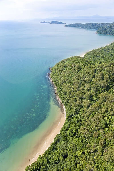 Aerial view of rain forest and beach, Daintree Forest, Daintree National Park, nr Cairns