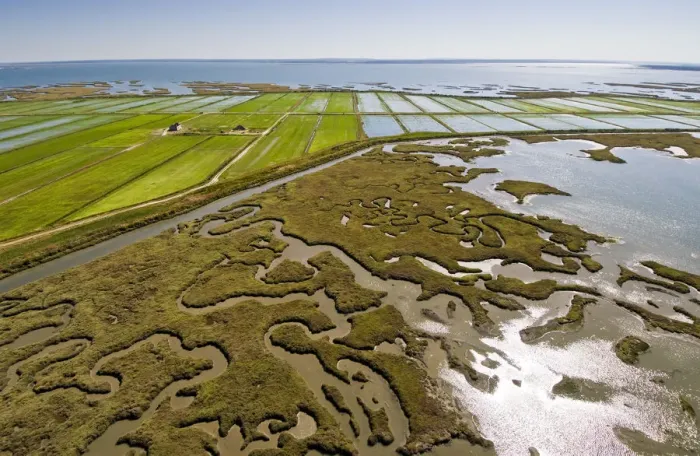 Framed Print : Aerial view of rice fields and marshes along the Sado river. Comporta, Alentejo, Portugal Framed Print : Aerial view of rice fields and marshes along the Sado river. Comporta, Alentejo, Portugal