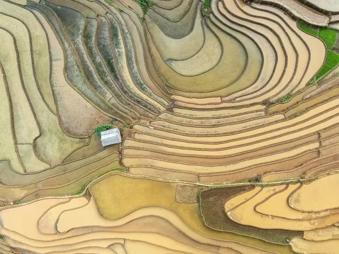 Framed Print : Aerial view of the rice terraces at Mu Cang Chai, Vietnam