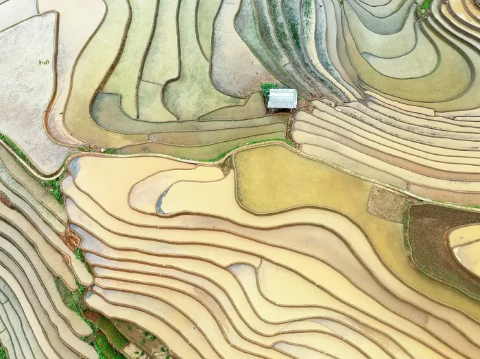 Framed Print : Aerial view of the rice terraces at Mu Cang Chai, Vietnam Framed Print : Aerial view of the rice terraces at Mu Cang Chai, Vietnam