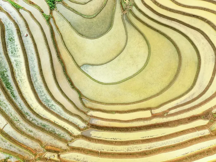 Framed Print : Aerial view of the rice terraces at Mu Cang Chai, Vietnam Framed Print : Aerial view of the rice terraces at Mu Cang Chai, Vietnam