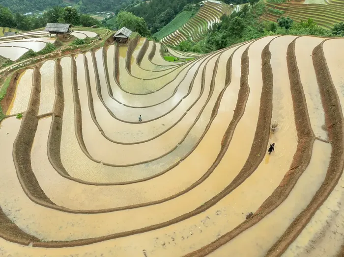 Framed Print : Aerial view of the rice terraces at Mu Cang Chai, Vietnam Framed Print : Aerial view of the rice terraces at Mu Cang Chai, Vietnam