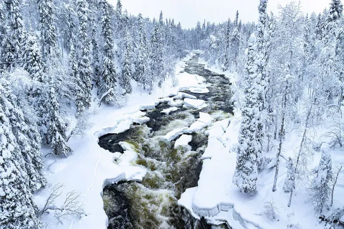Framed Print : Aerial view of river flowing in the frozen snowy forest, Myllykoski, Oulanka National Park, Kuusamo, Lapland, Finland Framed Print : Aerial view of river flowing in the frozen snowy forest, Myllykoski, Oulanka National Park, Kuusamo, Lapland, Finland
