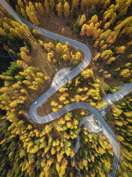 Framed Print : Aerial View over Road in Autumn, Belluno Province, Veneto, Italy Framed Print : Aerial View over Road in Autumn, Belluno Province, Veneto, Italy