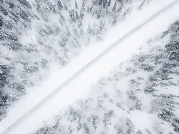 Aerial view of road in the snow covered forest, Pallas-Yllastunturi National Park