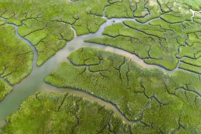 Framed Print : Aerial view of salt marshes on the Camel Estuary, Wadebridge, Cornwall Framed Print : Aerial view of salt marshes on the Camel Estuary, Wadebridge, Cornwall
