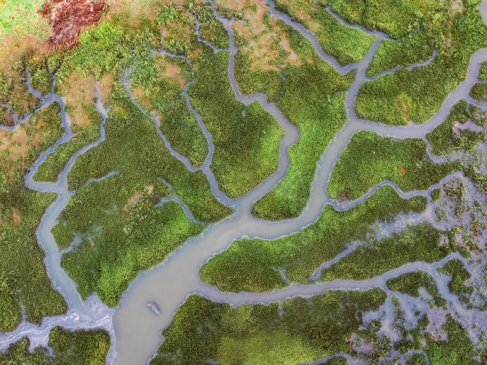 Framed Print : Aerial view of salt marshes on the River Camel near Wadebridge in Cornwall, England. Autumn (September) 2024