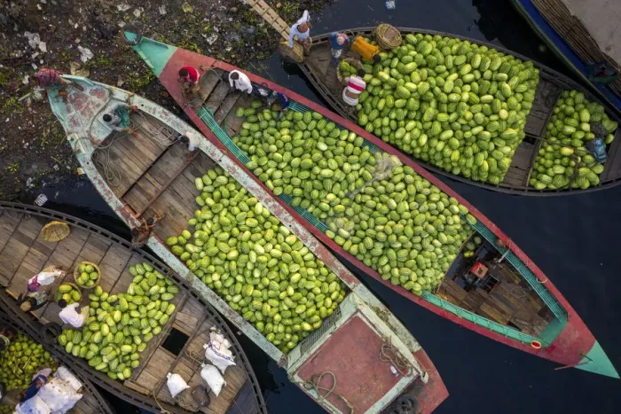 Framed Print : Aerial view of several small commercial boats with people unloading watermelons at Old
