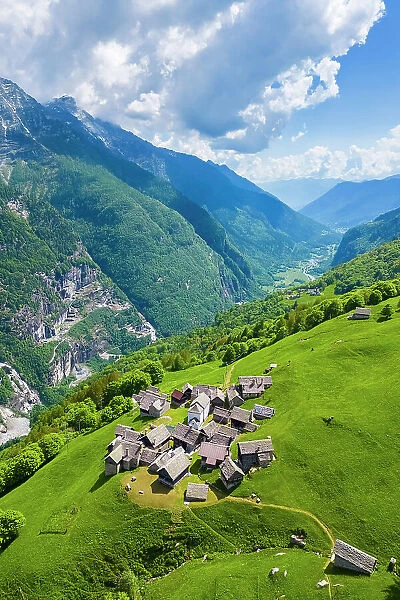 Aerial view of the small mountain walser town of Salecchio Superiore in spring. Premia, Valle Antigorio, Verbano Cusio Ossola, Piedmont, Italy