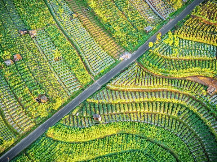 Framed Print : Aerial view of terraced fields at feet of Mount Sumbing, Nepal Van Java, Magelang, Central Java, Indonesia Framed Print : Aerial view of terraced fields at feet of Mount Sumbing, Nepal Van Java, Magelang, Central Java, Indonesia