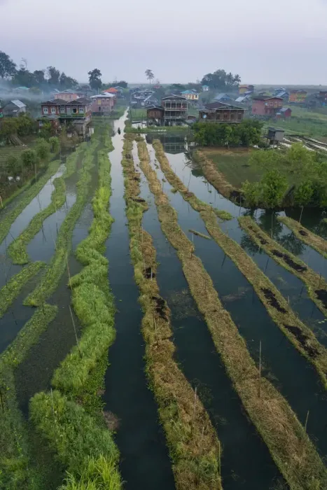 Framed Print : Aerial view of village and floating gardens before sunrise, Lake Inle Framed Print : Aerial view of village and floating gardens before sunrise, Lake Inle
