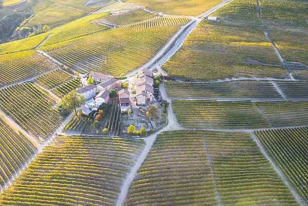 Aerial view of vineyards of Langhe from hot air baloon, Cuneo Province, Piedmont, Italy